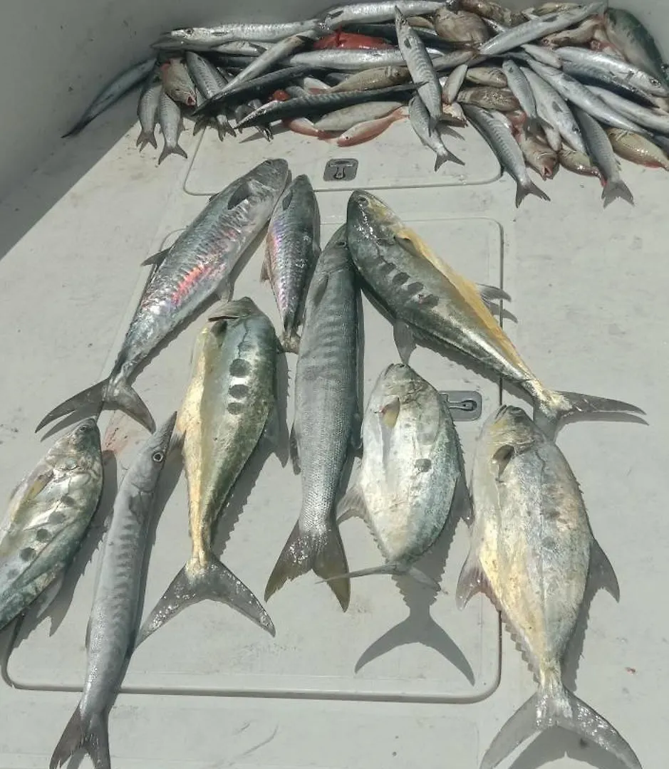 Dubai Fishing Trip 5 Hours Botel