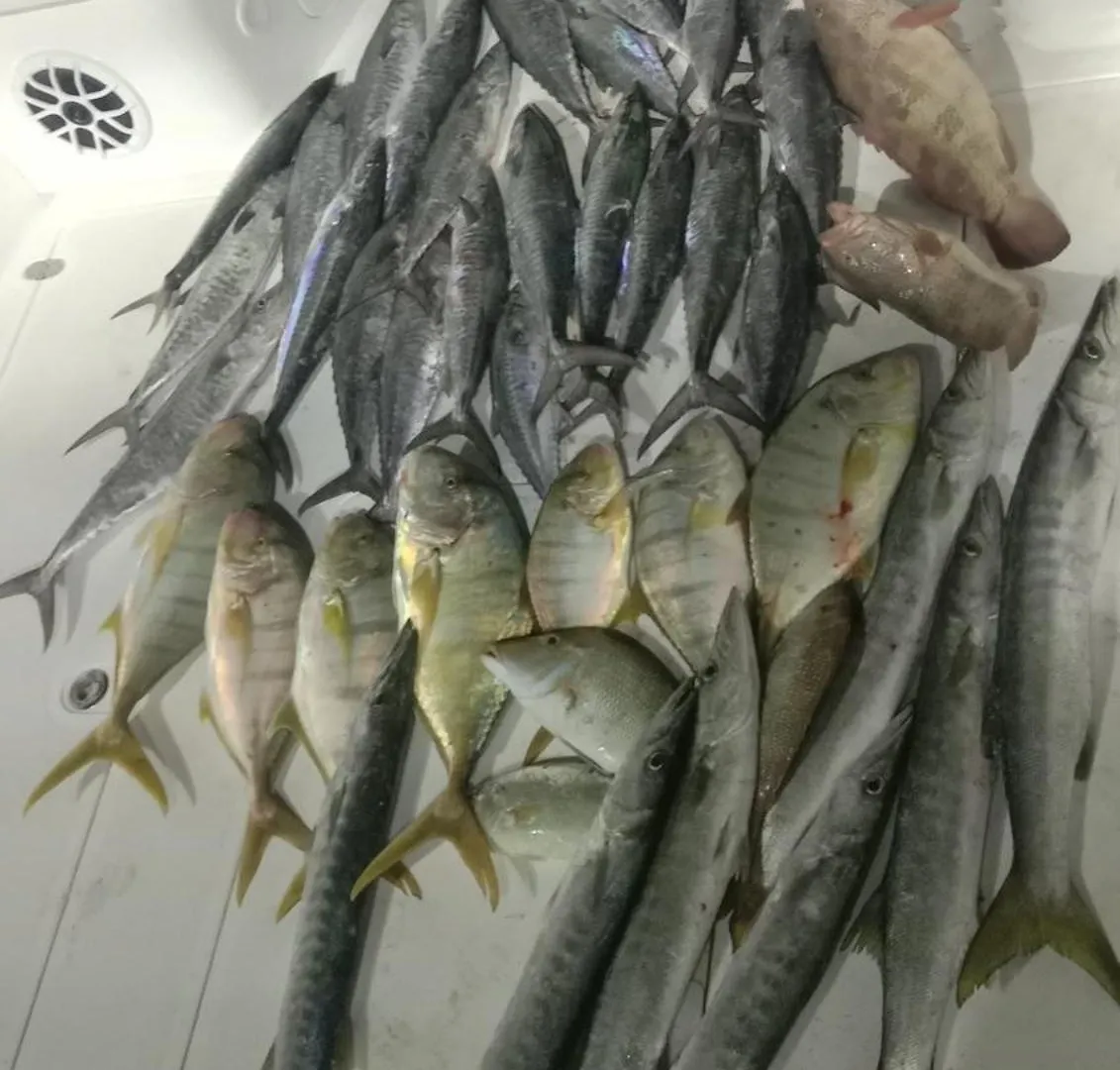 Dubai Fishing Trip 5 Hours United Arab Emirates